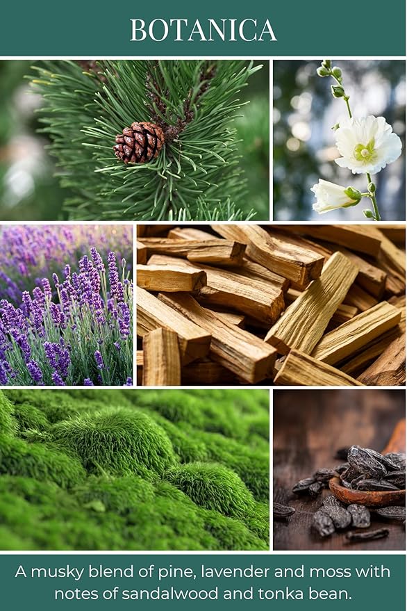 ECO CANDLE CO. Tea Light Candles, Botanica, 10-Pack - Scents of Pine, Lavender, & Moss - Recyclable, 100% Soy Wax, No Lead, Hand Poured, Made from Midwest Grown Soybeans, .6 oz. Each