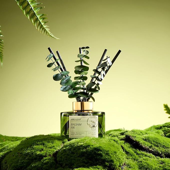 Airkeep Reed Diffuser Set with 6.76 fl oz Balsam Fir Scent Essential Oils and 3 Leaves & 8 Diffuser Sticks,Bathroom Shelf Decor & Air Freshener, House Bedroom Office Decor & Gifts