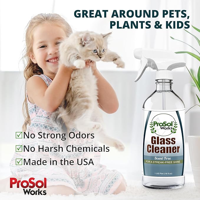 ProSol Works Glass Cleaner 16 oz - All Purpose Cleaning Spray for Glass Doors & Windows, Mirrors & Chrome Surfaces - Glasses Spray Helps Remove Smudges, Fingerprints, Rain Spots & Oil - Glass Cleaners
