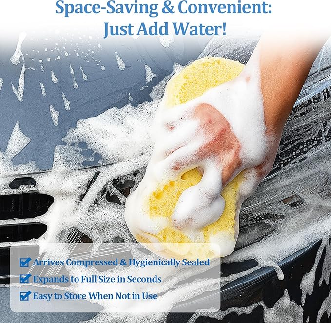 10 Pack Large Car Wash Sponges Non-Scratch Sponges for Auto, Truck, RV, Boat Cleaning Thick Foam for Kitchen, Bathroom, Household (Large & Standard)