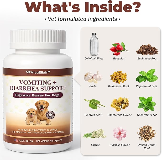 Digestive Rescue for Dogs and Puppies – Helps Maintain Appetite, Gut Function & Stool Consistency – Relief of Diarrhea & Stomach Upset – With Electrolytes, Colostrum IgG, Probiotics – 90 Tablets