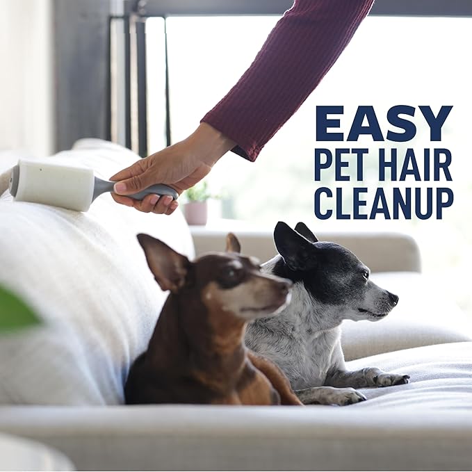 Scotch-Brite Everyday Clean Lint Roller, Lint Remover for Pet Hair, Dark Clothes, Furniture, and Dusty Surfaces, Picks Up Fur & Fluff in Your Home, Car, & Office, 10 Pack, 950 Adhesive Sheets Total