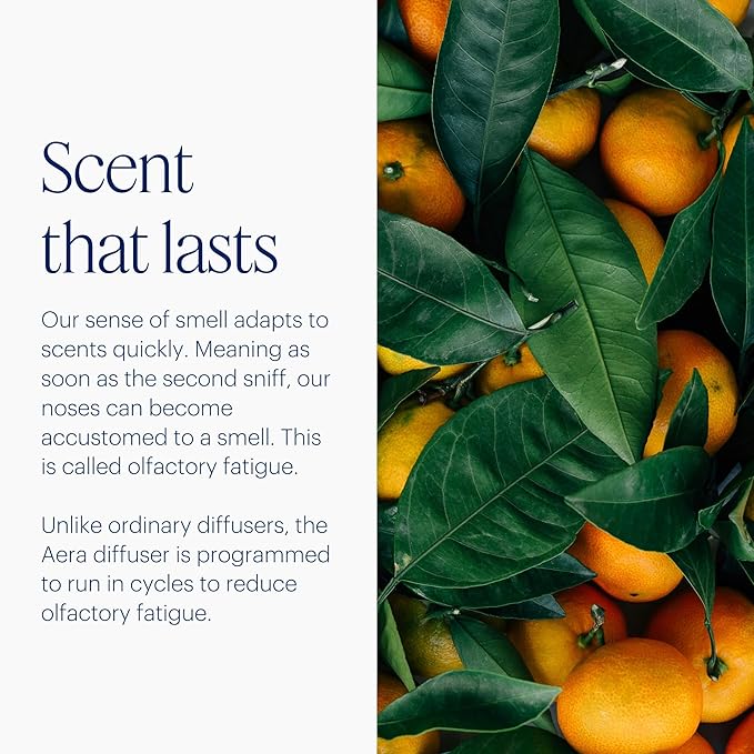 Aera Mini Essential Oil Fragrance Diffuser + Citrus Scent Bundle for Small Rooms (100–500 Sq Ft), Alexa Compatible + App Controlled Aromatherapy Smart Waterless Diffuser – Hypoallergenic & Pet Safe
