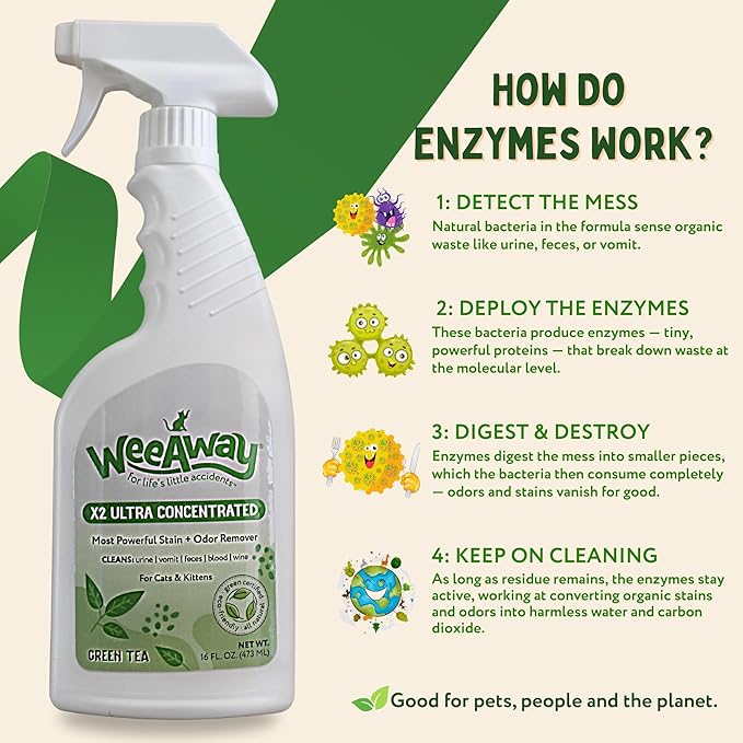 Wee Away X2 Ultra-Concentrated Stain & Strong Odor Eliminator, Enzyme Cleaner, Pet Odor Eliminator for Home - Cat & Kitten Urine Destroyer - Carpet Cleaner Spray, Green Tea, 16 fl oz
