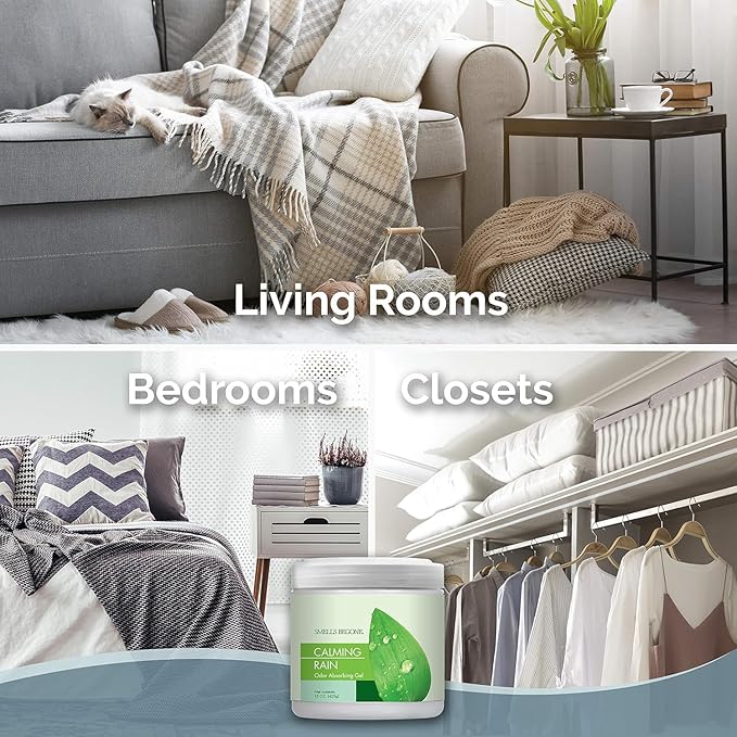 SMELLS BEGONE 15oz Gel Odor Eliminator - Absorb & Remove Tough Odors in Pet Areas, Bathrooms, Basements, Garage, Cars, RVs & Boats - Eliminate Odors Quickly (6-Pack, Calming Rain)