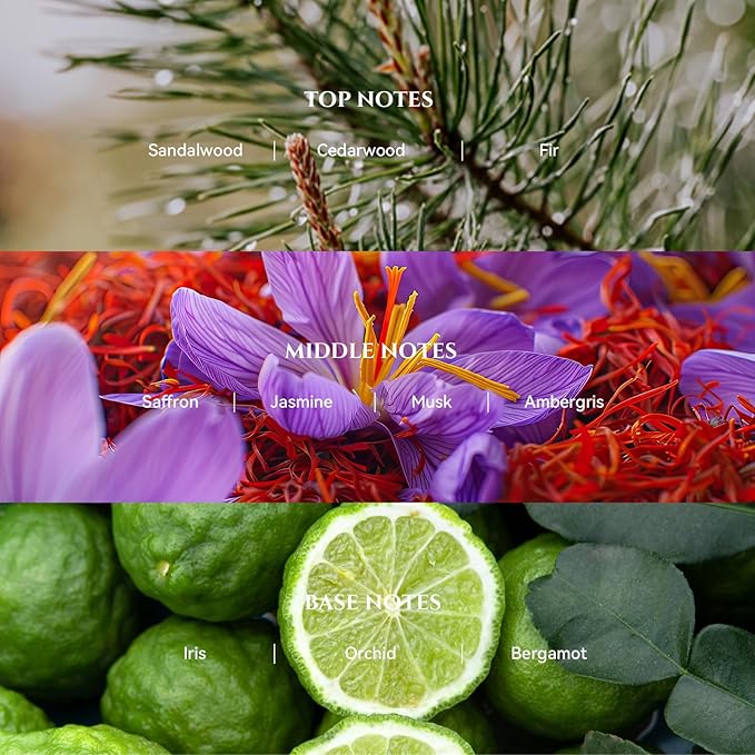 Blacktail Ridge Diffuser Oil Inspired by Luxury Hotel Scent 6.76 Fl Oz (200ml), Aroma Diffuser & Hotel Fragrance Diffuser Oil, Essential Oil Diffuser for Aromatherapy, Long-Lasting