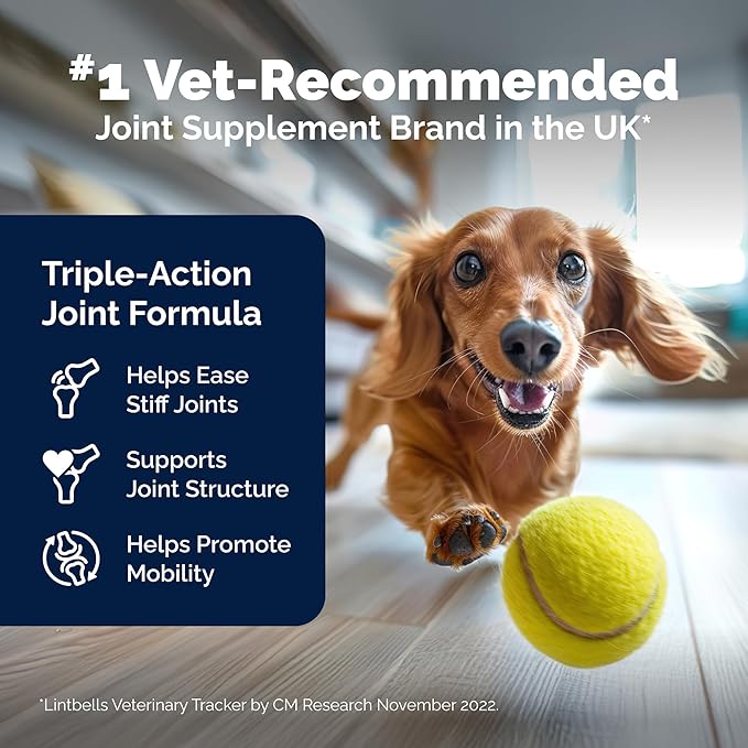 Yumove Hip & Joint Supplement for Dogs with Glucosamine, Hyaluronic Acid, Green Lipped Mussel & Omega 3 Joint Supplement - Regular or Advanced Strength (300 Count, Chewable Tablets)