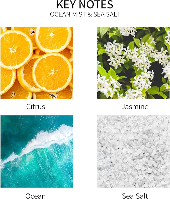 Airkeep Reed Diffuser Set, 3.38 fl oz (100 ml) - Ocean Mist&Sea Salt Oil Diffusers with 8 Reed Sticks, Home Fragrance Reed Diffuser for Bathroom Shelf Decor