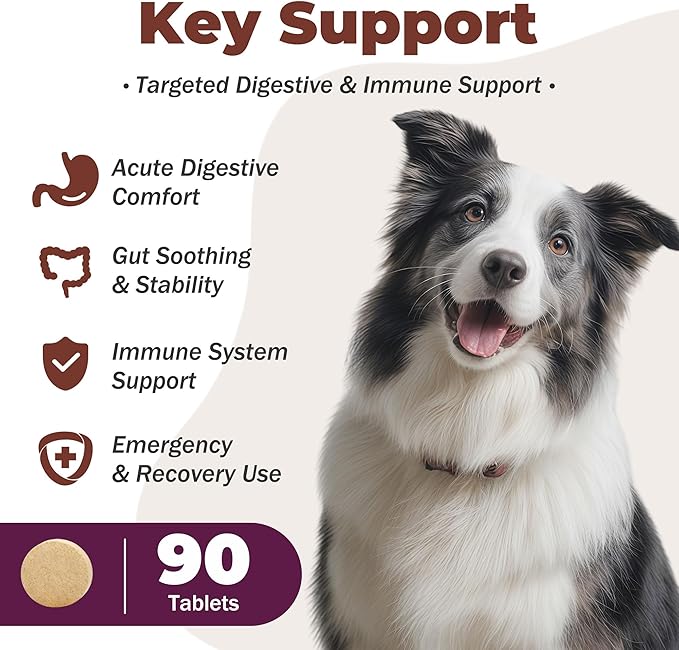 Digestive Rescue for Dogs and Puppies – Helps Maintain Appetite, Gut Function & Stool Consistency – Relief of Diarrhea & Stomach Upset – With Electrolytes, Colostrum IgG, Probiotics – 90 Tablets