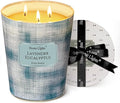 HomeLights Scented Candles | Large Jar 34 Oz Natural Soy Candle | 130 hrs Long-Lasting with 3 Wicks | Scandinavian Minimalist Design Home Decor | Gifts for Mom & Women, Lavender Eucalyptus