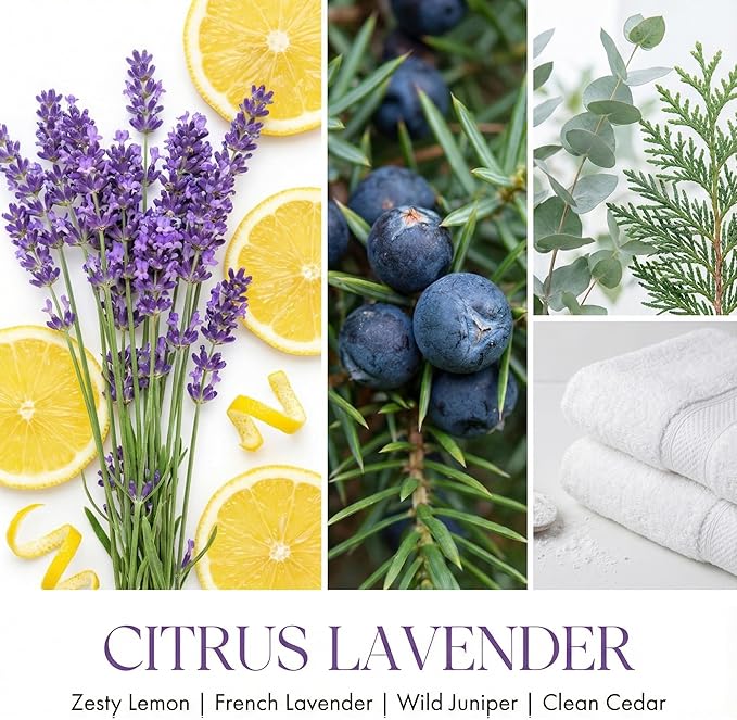 HomeLights Scented Candles | Large Jar 34 Oz Natural Soy Candle | 130 hrs Long-Lasting with 3 Wicks | Scandinavian Minimalist Home Decor | Gifts for Mom & Women, Citrus Lavender