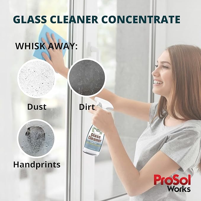 ProSol Works Glass Cleaner 16 oz - All Purpose Cleaning Spray for Glass Doors & Windows, Mirrors & Chrome Surfaces - Glasses Spray Helps Remove Smudges, Fingerprints, Rain Spots & Oil - Glass Cleaners