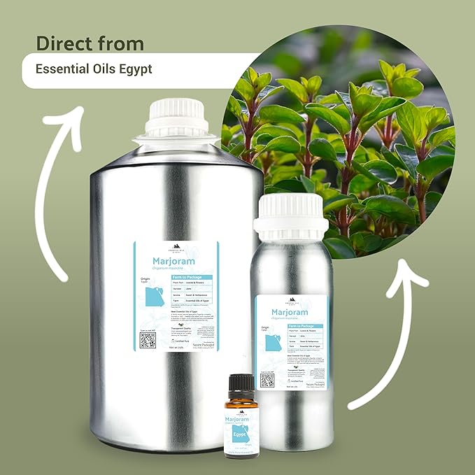 Marjoram Essential Oil - Aceite de Mejorana Direct from Egypt for Massage & Aromatherapy | Premium Therapeutic Grade (8oz)