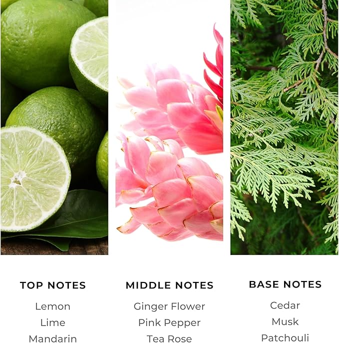 Brilliant Scents Diffuser Oil Refill, Inspired by Nobu Hotel, Hotel Series Aroma Scents, Essential Oils Set for Home, Fragrance Oil for Candle Making, Home, 50 ML, Golden Serenity
