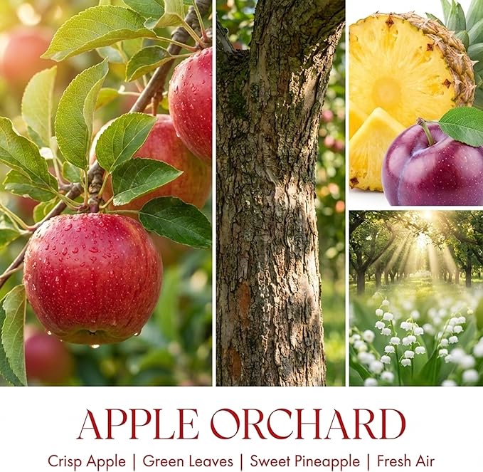 HomeLights Scented Candles | Large Jar 34 Oz Natural Soy Candle | 130 hrs Long-Lasting with 3 Wicks | Eclectic Mixed Styles Home Decor | Gifts for Mom & Women, Apple Orchard