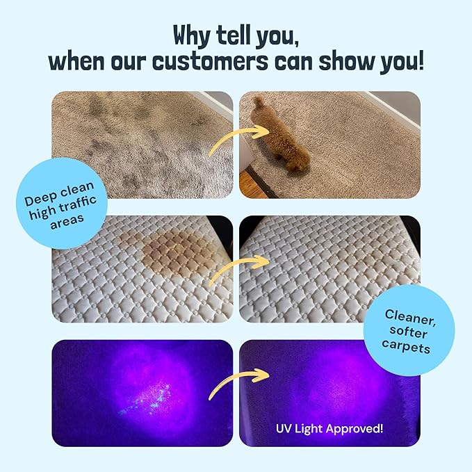 Sunny & Honey Carpet Cleaner Solution - Rug Shampoo & Upholstery Cleaning Solution - Pet Surface Odor Eliminator & Pet Stain Remover (32 fl oz, Fresh Summer Scent)