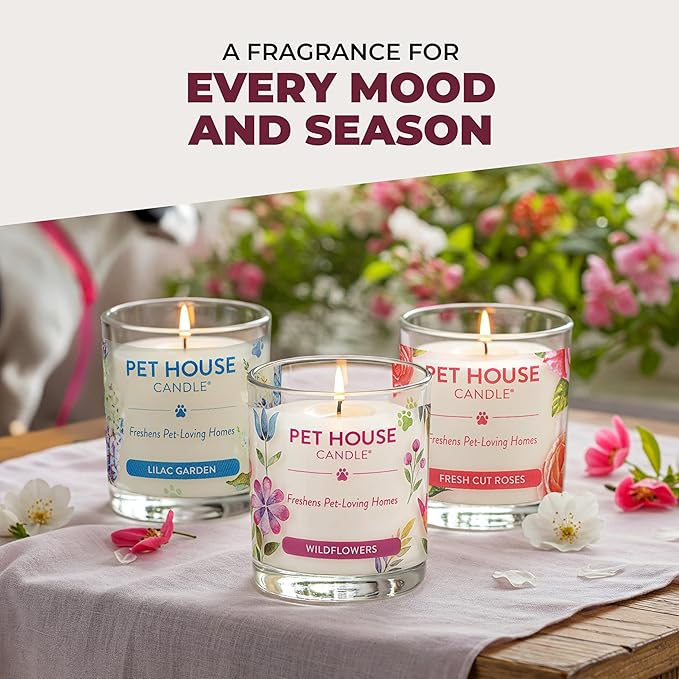 One Fur All Pet Friendly Candle 2 Pack - Plant-Based, Soy Candles, Clean Burning, Long Lasting Pet Air Freshener for Home, 2 Pack, Falling Leaves and Autumn Harvest