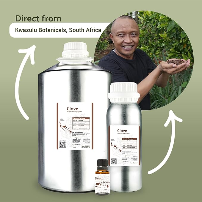 100% Pure Clove Essential Oils - Direct from Indonesian Essential Oils - Essential Oil for Diffusers Aromatherapy & Humidifiers (15ml) | Natural Cold-Pressed