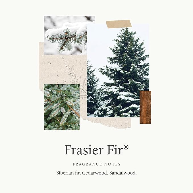 Thymes Frasier Fir Reed Diffuser Set – Includes Reeds, Fragrance Oil, and Frosted Glass Bottle – Fragrance Oil Diffuser – Room Fresheners – Luxury Home Decor – Green & Clear (Pine Needle, 7.75 fl oz)