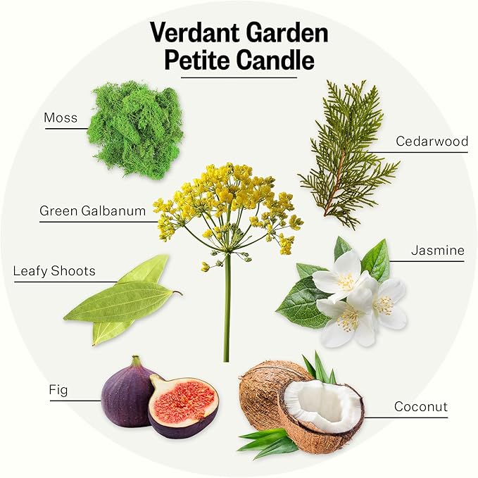 Apotheke Luxury Scented Candles for Home, Verdant Garden - Petite Aromatherapy Jar Candle with Soy Wax Blend
