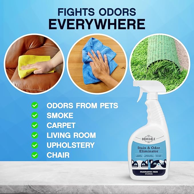 Odorable Stain & Odor Eliminator (32 oz) - Professional Cleaner for Pet Urine, Vomit & Feces, Safe on Carpet, Couch & Floor, Pet Stain Eliminator Spray, Advance Odor Control Technology