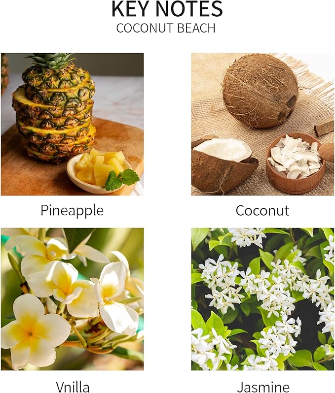 Airkeep Reed Diffuser Set, 3.38 fl oz (100 ml) - Coconut Beach Oil Diffusers with 8 Reed Sticks, Home Fragrance Reed Diffuser for Bathroom Shelf Decor