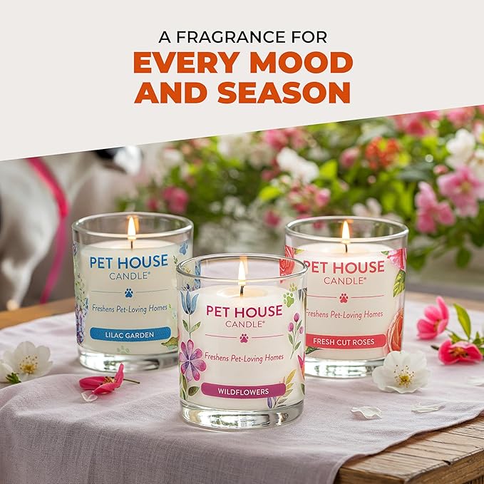 One Fur All Pet House Fall Candles, Long Lasting, Clean Burning, Soy Wax Scented Candles for Pet Odor, Apple Cider