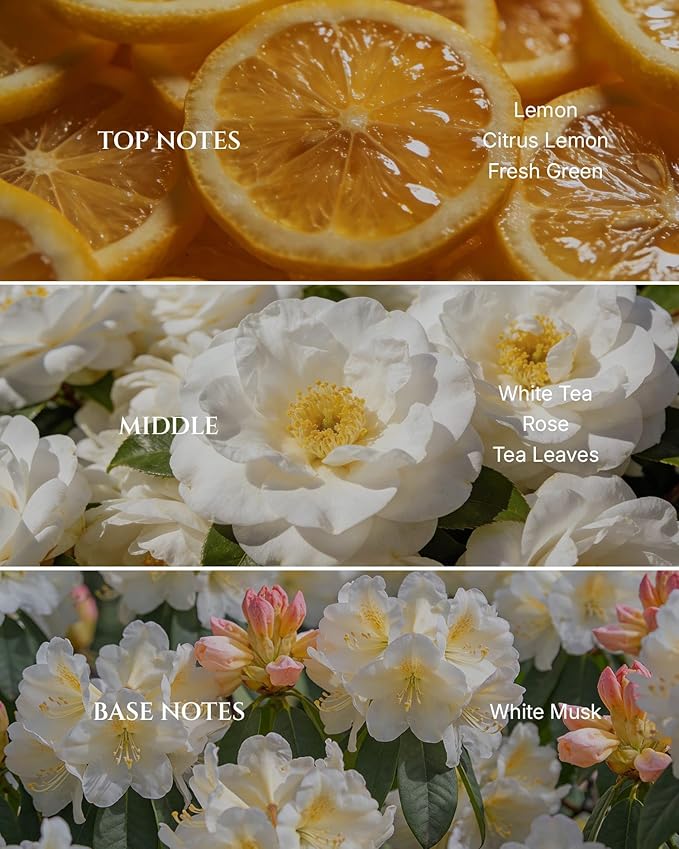 Aromadd White Tea Diffuser Oil Inspired by Luxury Hotel Scent, Essential Oils for Waterless Diffuser, White Tea & Bergamot, Long-Lasting & Natural Home Fragrance - 6.76 fl oz (200 mL)