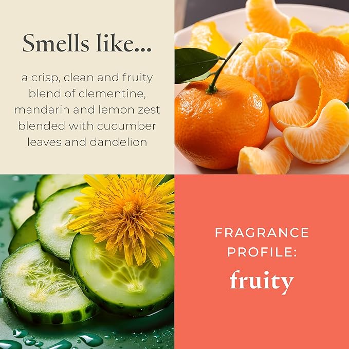 PartyLite Set of 12 Tea Lights Candles, Cucumber & Clementine Scent, Aromatherapy Scented Candles Gift Set, Up to 4 to 6 Hours Burn Time