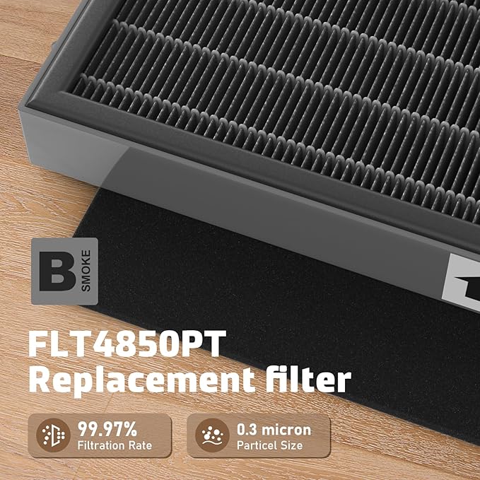 FMDZFL Filter B Smoke Clear HEPA Replacement Compatible with AC4825 AC4300 AC4800 AC4900 AC4850, 2 True HEPA Filters & 6 Activated Carbon Pre-Filters, FLT4825SM, Black/Gray