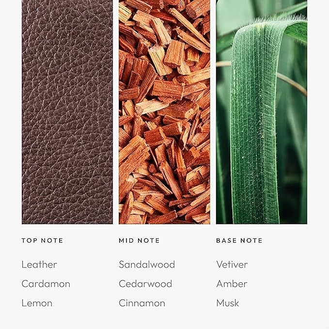 Aroma360 - My Way Fragrance Oil Blend - Hotel Inspired for Luxury Essential Oil Diffusers - Aromatherapy Scent Diffuser - Lush Sandalwood, Warm Cedar, and Delicate Florals - 50ML