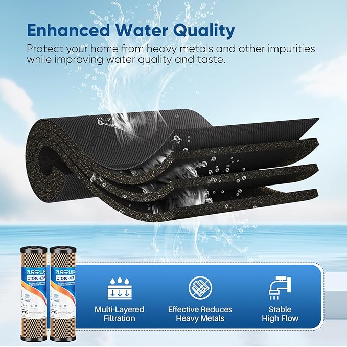 1 Micron 2.5" x 10" Whole House CTO Carbon Water Filter Cartridge Replacement for Under Sink Water Filter System, Dupont WFPFC8002, WFPFC9001, FXWTC, SCWH-5, WHEF-WHWC, WHCF-WHWC, AMZN-SCWH-5, 2Pack