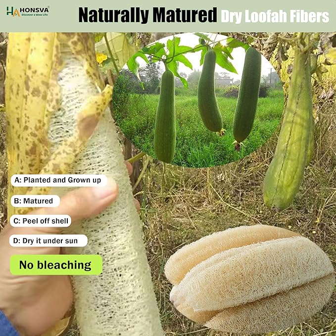 HONSVA Loofah Natural Kitchen Sponge (5 Pcs), No Scratch Scrubber for Dish Cleaning, 100% Plant Based Vegetable Scrubber, Zero Waste and Eco Friendly Sponge for Kitchen (3 Pcs Oval+2 Pcs Rectangular)