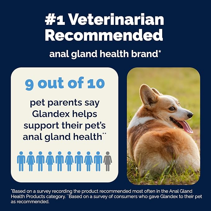 Vetnique Glandex Dog Fiber Supplement Powder Anal Gland Health with Pumpkin, Digestive Enzymes & Probiotics, Vet Recommended (Regular or Advanced Strength) - Boot The Scoot (2.5oz Powder, Beef Liver)