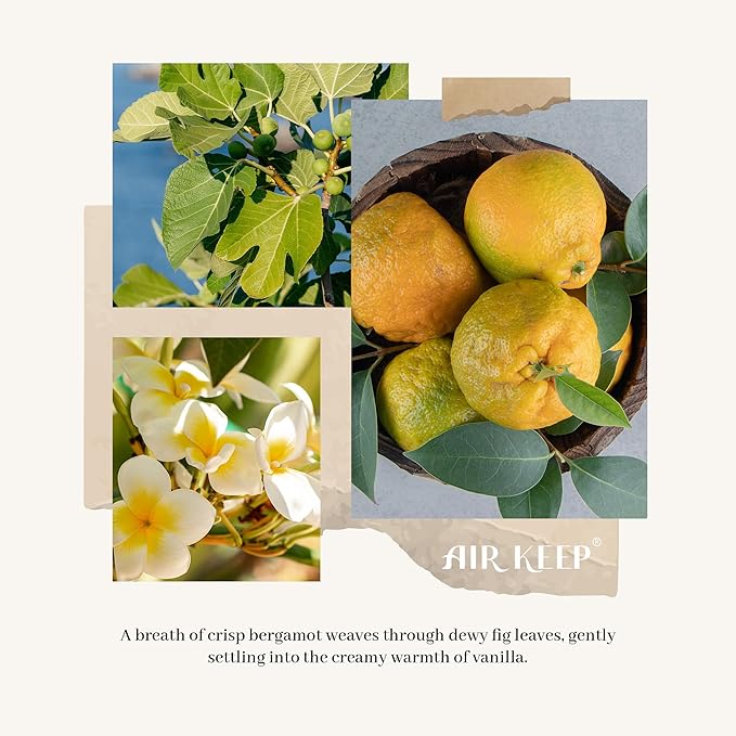 Airkeep Reed Diffuser Set,3.38 fl oz (100 ml) - Refreshing Air Oil Diffusers with 8 Reed Sticks, Home Fragrance Reed Diffuser for Bathroom Shelf Decor