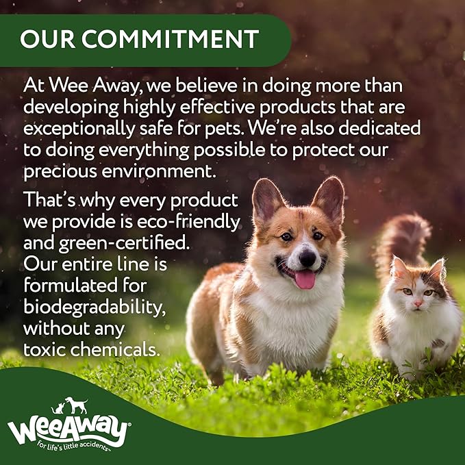 Wee Away X2 Ultra-Concentrated Stain & Strong Odor Eliminator, Enzyme Cleaner, Pet Odor Eliminator for Home - Cat & Kitten Urine Destroyer - Carpet Cleaner Spray, Green Tea, 16 fl oz