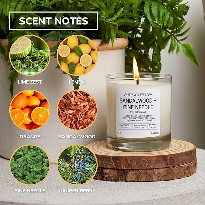 Outdoor Fellow Sandalwood + Pine Needle Scented Candle, 8oz, Coconut & Apricot Wax Blend, Sandalwood, Pine Needle, Eucalyptus, Reusable Glass, 40-50 Hour Burn Time