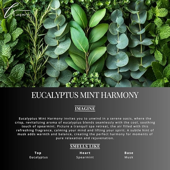 Lapew Eucalyptus Mint Harmony Scented Mop Soap Concentrate 36 oz | Premium Fragranced Floor Cleaner | Streak-Free | Hard Floor Cleaning Solution | Eco Friendly | Made in USA (Eucalyptus Spearmint)