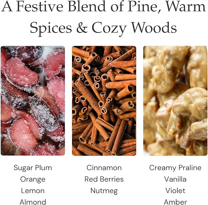 Holiday Hearth Single Wick Soy Candles, Luxury Scented Candles for Home - Up to 60 Hour Burn Time, Cruelty-Free Soy Wax Blend - Frosted Sugar Plum & Cinnamon Fragrance (9 oz)