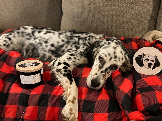 Sand + Paws Scented Candle - Pineapple Coconut - Additional Scents and Sizes –Luxurious Air Freshening Jar Candles Neutralize pet Odors and Enhance Home décor – 100% Cotton Lead-Free Wicks - 21 oz