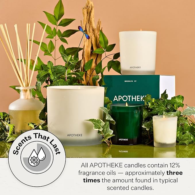 Apotheke Luxury Scented Candles for Home, Wild Mint & Ivy - Petite Aromatherapy Jar Candle with Soy Wax Blend