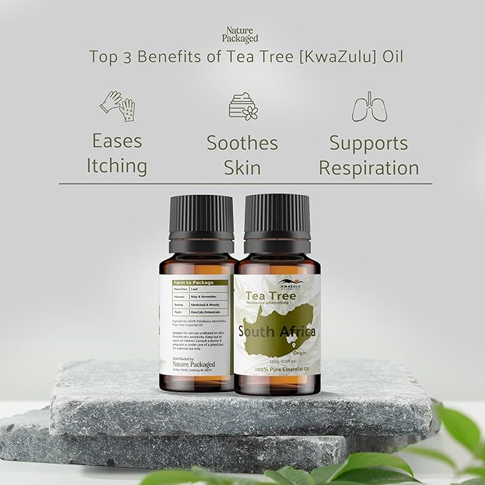 Tea Tree Essential Oil - Direct from Kwazulu Botanicals South Africa - Steam Distilled - Aceite Esencial de Árbol de Té for Aromatherapy, Diffuser, DIY Candle and Soap Making - 2lbs