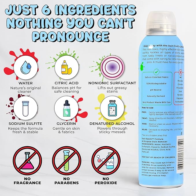 Stain Bandit Stain Remover Spray - Non-Toxic, Family Safe Formula - Bag-On-Valve 360 Continuous Spray - Powerful Natural Cleaner for Clothes, Upholstery, Carpet, Car Seats & More - 4.2 oz