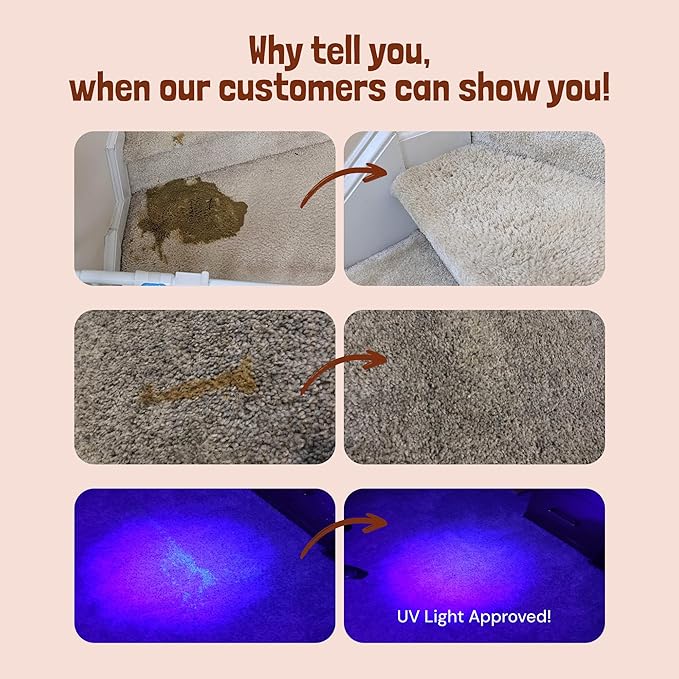 Sunny & Honey Pet Stain & Odor Miracle - For New and Old Stains - Enzyme Cleaner & Surface Odor Eliminator - Fast Acting Carpet Cleaner Spray - Enzymatic Cleaner for Dog Urine (128 fl oz, Fall Spice)