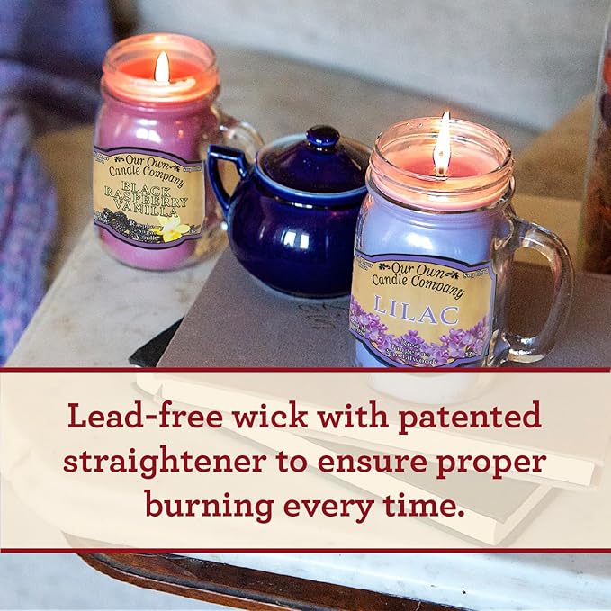Our Own Candle Company, Winter Wonderland Scented Mason Jar Candle, 100 Hour Burn Time, Made in The USA - 13 Ounces