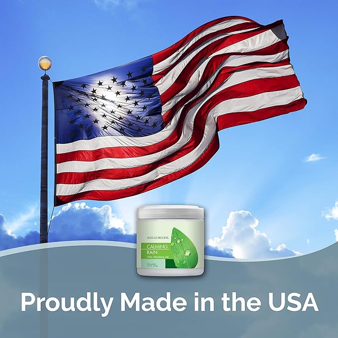 SMELLS BEGONE 15oz Gel Odor Eliminator - Absorb & Remove Tough Odors in Pet Areas, Bathrooms, Basements, Garage, Cars, RVs & Boats - Eliminate Odors Quickly (1-Pack, Calming Rain)