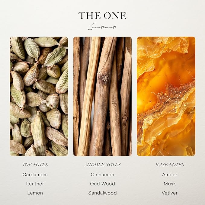 Scentiment Hotel Diffuser Oil Discovery Kit | Inspired by Five Star & Luxury Hotel Scents | Aromatherapy Oils with Notes of Cardamom, Tuscan Leather, and Sandalwood (20ml, Top 3 Scents)