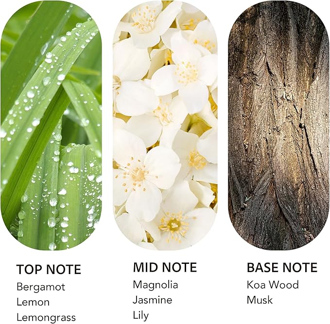 Luxury Hotel Scent 24K Aura Diffuser Oil Waterless Essential Aromatherapy for Cold Air & Car Diffusers – Long Lasting Refill for Large Room & Home - Non Toxic, Signature Lemongrass (200ml/6.76Fl oz)