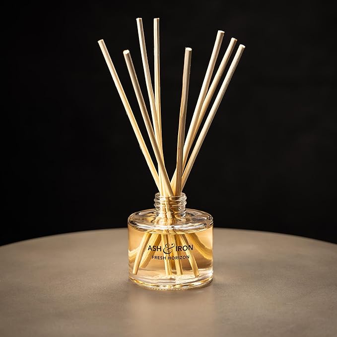 Luxury Reed Diffuser for Home & Bathroom – Ash & Iron Fresh Horizon, Crisp Alpine Air & Cactus Blossom, 125 mL, 3–5 Month Duration