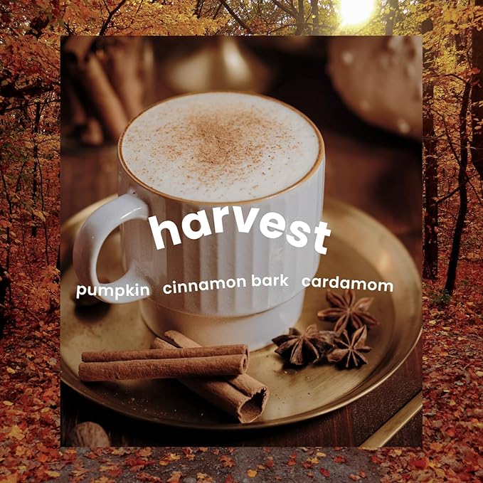 Moodcast Harvest Scented Fall Candle - Aesthetic Candle for Home, Pumpkin, Cinnamon Bark & Cardamom, Clean Coco Wax Blend, Vegan, Paraben Free, 50-Hour Long Lasting Burn - 8oz